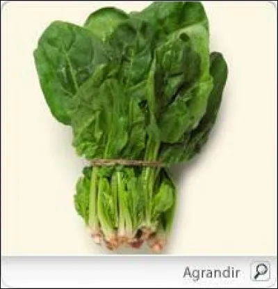 Cette image est celle...