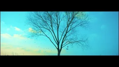 Dans quel MV apparaît cette image ?