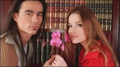 Qui sont les deux grandes familles dans cette histoire ?