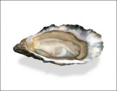 Et cet autre aliment, comment l'écrit-on ?