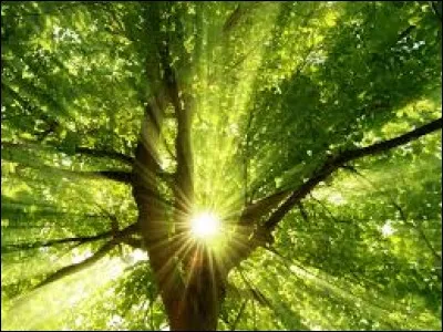 Celui-ci, comment l'écrit-on ?