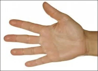 Trouve la bonne orthographe de cette partie du corps humain.