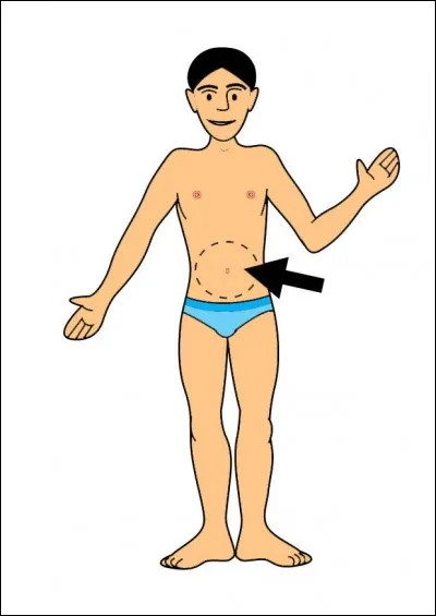 La flèche indique :