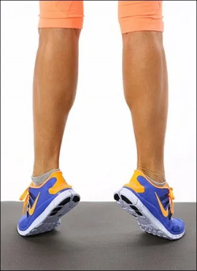 De quelle partie du corps humain s'agit-il ?