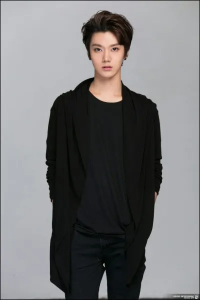 À quel groupe appartient cette idole ?