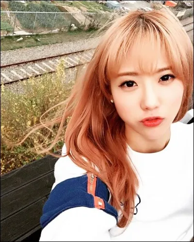 À quel groupe appartient cette idole ?