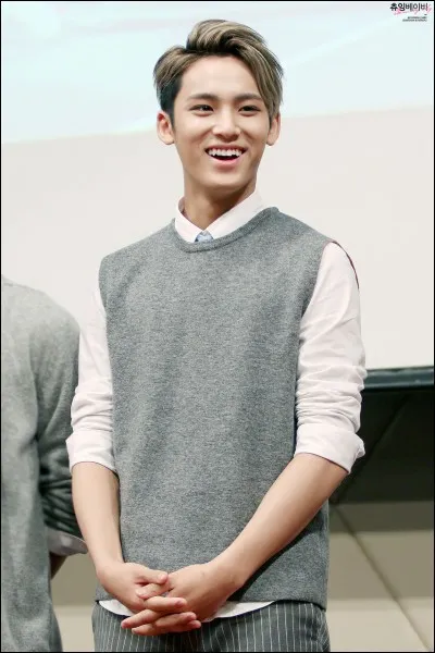 À quel groupe appartient cette idole ?