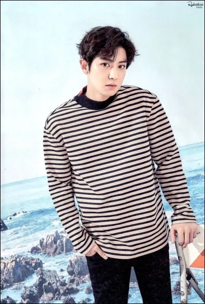 À quel groupe appartient cette idole ?