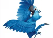 Quiz Connais-tu les perroquets ?