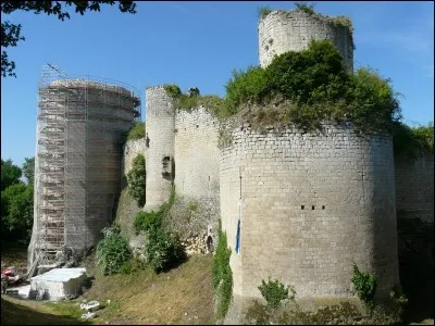 Dans le passé en Poitou-Charentes-Vendée,que signifiait le verbe affranchir ?