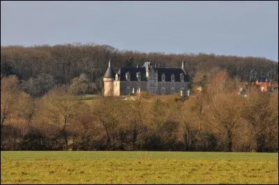 Au début du siècle dernier en Poitou-Charentes-Vendée,un balin était :