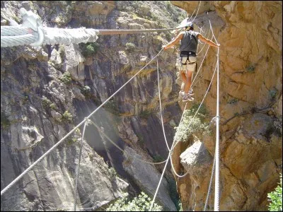 Proche de l'homme pour Darwin, sa monnaie n'a pas cours.