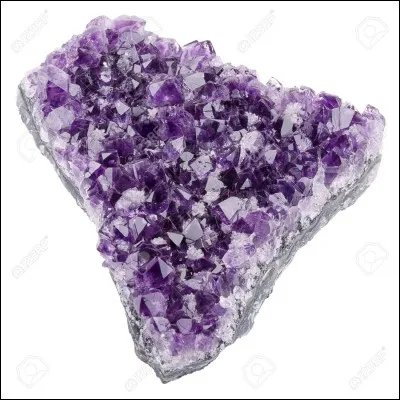 Que voit-on sur cette photo ?