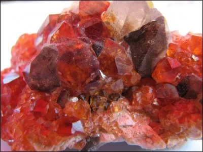 Que voit-on sur cette photo ?