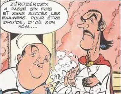 "L'Odyssée d'Astérix" : à l'aide de quel animal Zérozérosix envoie-t-il ses messages ?