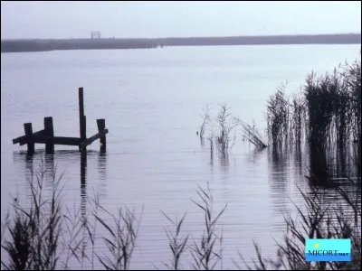 Que peut-on voir dans cette réserve naturelle préservée dénommée "le Hable d'Ault" ?