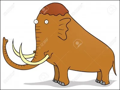 Quel style vestimentaire a Dora ?