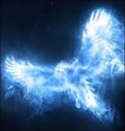 Quelle est la forme de son Patronus corporel ?
