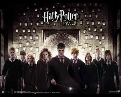 Comment appelle-t-on le groupe formé par Harry ?