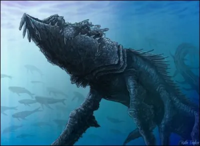 Q'est-ce qu'un Archir ?