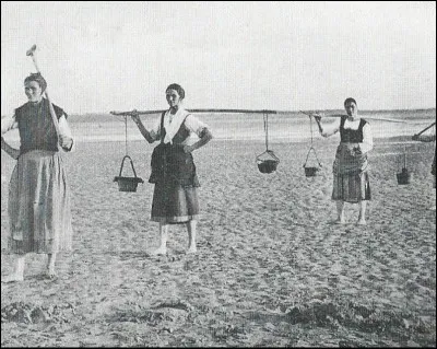 Comment s'appelaient ces femmes de pêcheurs au temps jadis, qui allaient pieds nus labourer la mer en quête des vers de vase destinés à amorcer les cordes ?