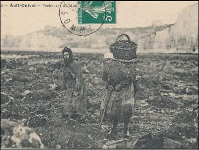 Hiver comme été, elles enfilaient leur tenue de mer, des jupons, des jambières, un mantelet mais toutes portaient "la calipette". Quelle est cette spécificité propre à leur tenue ?