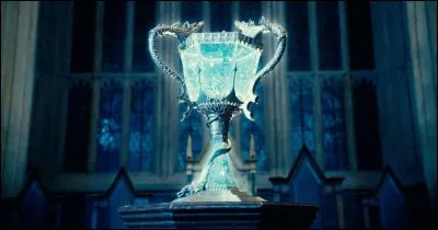 Tu as été sélectionné pour participer au tournoi des trois sorciers.