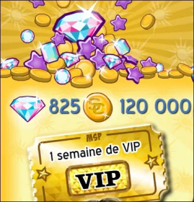 Comment avoir un ticket vip ?