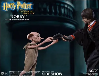 Quel elfe Harry va-t-il rencontrer en premier ?