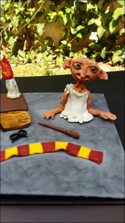 Comment s'appelle l'association qu'a fondée Hermione ?