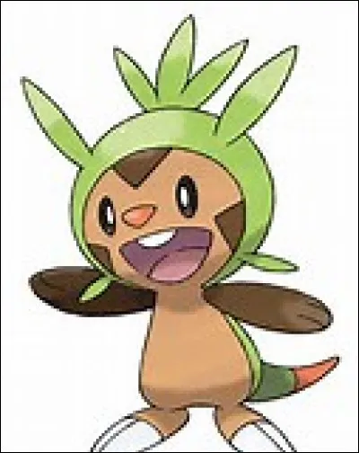 Quel est le problème entre le type Plante et la région de Kalos ?