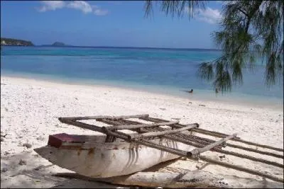 Quelle est la monnaie du Vanuatu ?