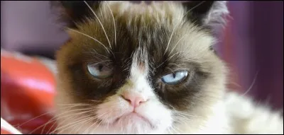 Quels muscles provoquent la mauvaise humeur ?