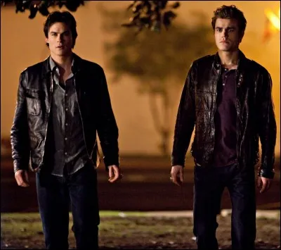 Quand Stefan contraint Damon de ne pas prendre le rem&egrave;de, que pr&eacute;pare-t-il &agrave; manger ? (S6-21)