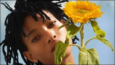 Quel est le pseudo officiel Twitter de Willow Smith ?