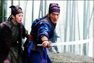 De quel film est tire cette photo avec Zang Ziyi ?