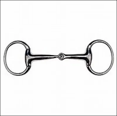 De quel mors s'agit-il sur l'image ?