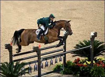 Comment se nomme cet obstacle ?