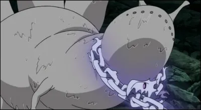 Combien de queues possède Saiken ?