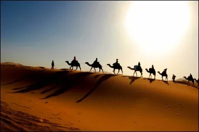 Le Sahara est également un lieu de tourisme culturel. Vrai ou faux ?