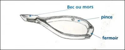 Quel est cet instrument ?