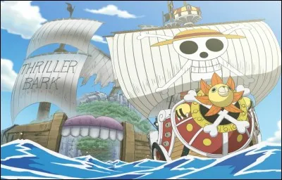 C'est l'histoire d'un jeune garçon qui rêve de devenir le roi des pirates.