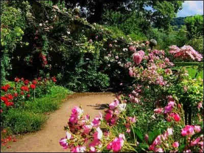 Que va-t-il se passer si je vous jette une pierre dans votre jardin ?