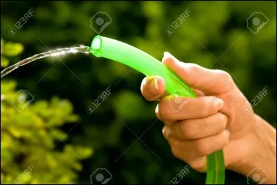 Tes plantes ont besoin d'eau...