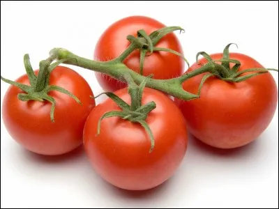 Les tomates sont mûres...