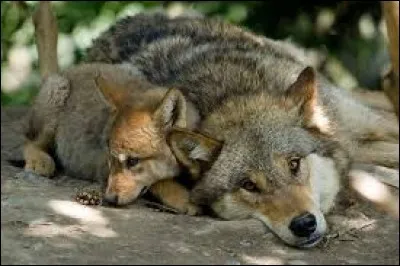 Être très connu c'est :