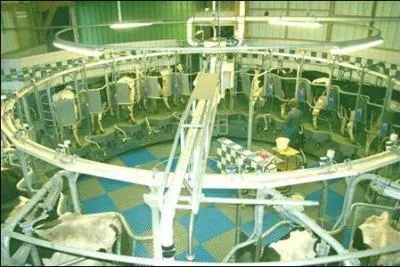 A quoi sert cette machine ?