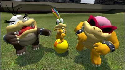 Qui sont ces 3 personnages ?

(Indice : ce sont des Koopalings mais comment se nomment-ils ?)