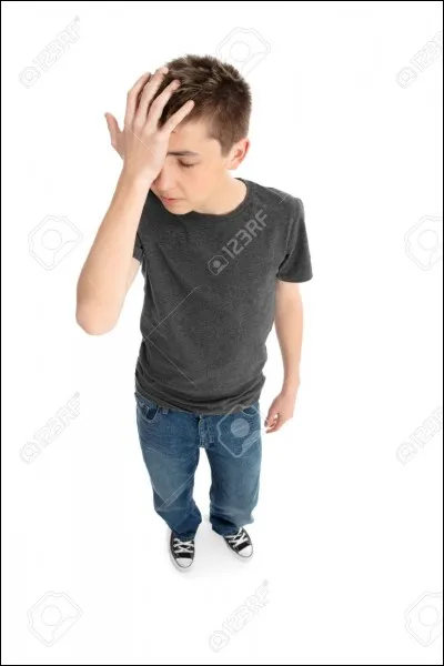 Courgettes, tomates, poivrons, oignons etc ...