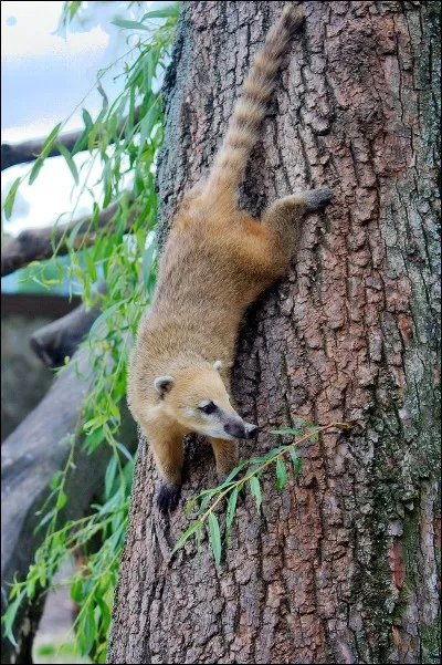 Quel parc allez-vous visiter ?